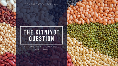 The Kitniyot Question