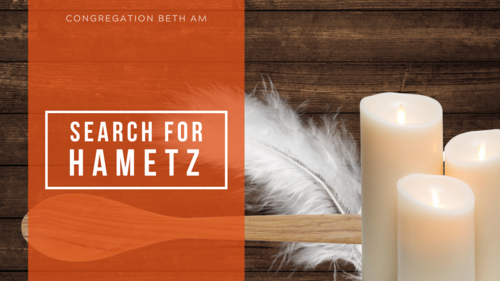 Search For Hametz