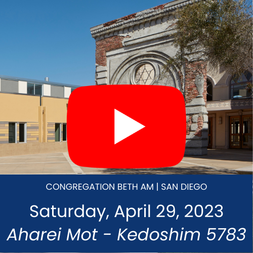 Click to view the Rabbis' sermon for April 29, 2023