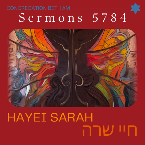 Hayei Sarah sermon by Rabbi David Kornberg