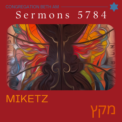 Click to watch Rabbi Kornberg's sermon: Miketz