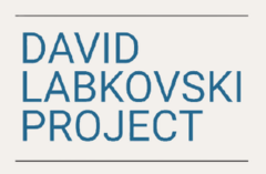 The David Labkovski Project